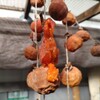 干し柿を狙うやつとの戦いに敗北