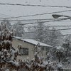 初雪2012