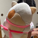 マメコと私の記録