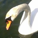 ゼットゼットブログ