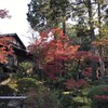 京都 紅葉・姫川明展旅行 1日目 紅葉の日