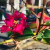 木月公園で季節の移り変わり