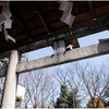 別格官幣社・護王神社（京都市上京区）の風景　part３１