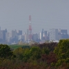 2018-11-16（金）糠田橋 周回 82.07km