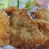 怒りをエネルギーに変える！？ストレス解消ごはんは「チキンカツ定食」が最強説🍽️