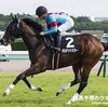 本当にマイル狙い ? 2022 - 京都牝馬ステークス - トピックス