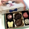 メリーチョコレートの猫チョコ「ねこみゃみれ」＆猫スイーツまとめ