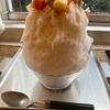ミオミオは来月閉店