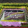 JGP International Orchid and Flower Show