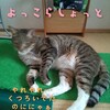 パッティングマットの正しい使い方？