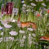 ヨドバシ.comで野菜を買ってみました。