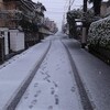 今日も雪が降るんでしたっけ（？）