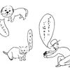 犬猫プロジェクトの消息