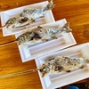 那須町湯本の「南ヶ丘牧場」で鱒つり