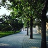 Temple of Heaven 