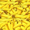 バナナを食べるとダイエットになるの？太っちゃうの？結局どっちなの？！知られざるバナナパワーを徹底解説！