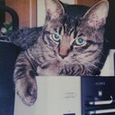 pinkbeigepaint’s blog