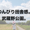 【育児】東京なのにこの田舎感。武蔵野公園。【公園】