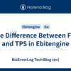 The Difference Between FPS and TPS in Ebitengine