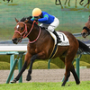 愛馬観戦記　【バスラットレオン　3歳1勝クラス】