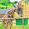 初めての動物園