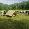 今年の夏はどう過ごそう♬
