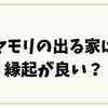 ヤモリの出る家は縁起が良い？特徴とスピリチュアルな意味、対策まで解説