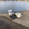釣りに行きました　5月2日　　干潮　7:20  満潮12:00