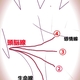 頭脳線の向かう方向