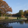 2025.11.14　洞峰公園の紅葉