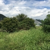 栗拾い♪