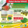 Kapsul Herbal Obat Tradisional Buat Maag Kronis