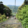 春の山菜に大満足　大分小旅行・完