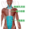 3月はのぼせまっせ！でも大丈夫