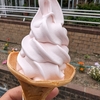 薔薇ソフトクリームの魅力を満喫した北九州市若松区「グリーンパーク」