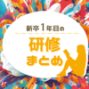 新卒1年目の研修についてまとめ