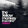 THE YELLOW MONKEYのDVDを総まくる！その17&quot;TRUE MIND NAKED&quot;