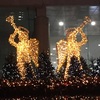 【ドイツ・クリスマスマーケット大阪】本場ドイツのクリスマスが楽しめます！
