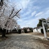3月最後は桜パトロールラン