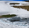 鳥海山ー残雪と花の季節ー