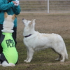 3月17日ファイブスターオフ会その1