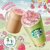 スターバックスから「花見抹茶クリームフラペチーノ」「花見ブロンドラテ」が新登場！さくらシーズン第2弾新商品です