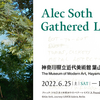 『アレック・ソス　Gathered Leaves』神奈川県立近代美術館 葉山