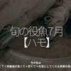 2448食目「旬の役魚 7月【ハモ】」今が旬★　美味しくて＋栄養価が高くて＋安くて＝元気にしてくれる季節の魚介を紹介