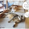 よろしくご査収くださいませ