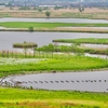 福島潟（新潟県新潟）