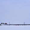 ある日のED333の推す、キ104除雪車の弘南ラッセルを撮る！(尾上総合高校裏の陸橋編)