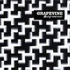 105曲目 GRAPEVINE - 棘に毒