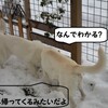 お土産いっぱい