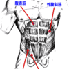 カッコいい腹筋を作る方法【腹直筋　下腹部編】